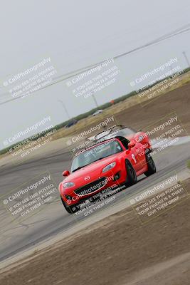 media/Jul-31-2022-Speed Ventures (Sun) [[bfb4b6530b]]/Black Group/Grapevine/